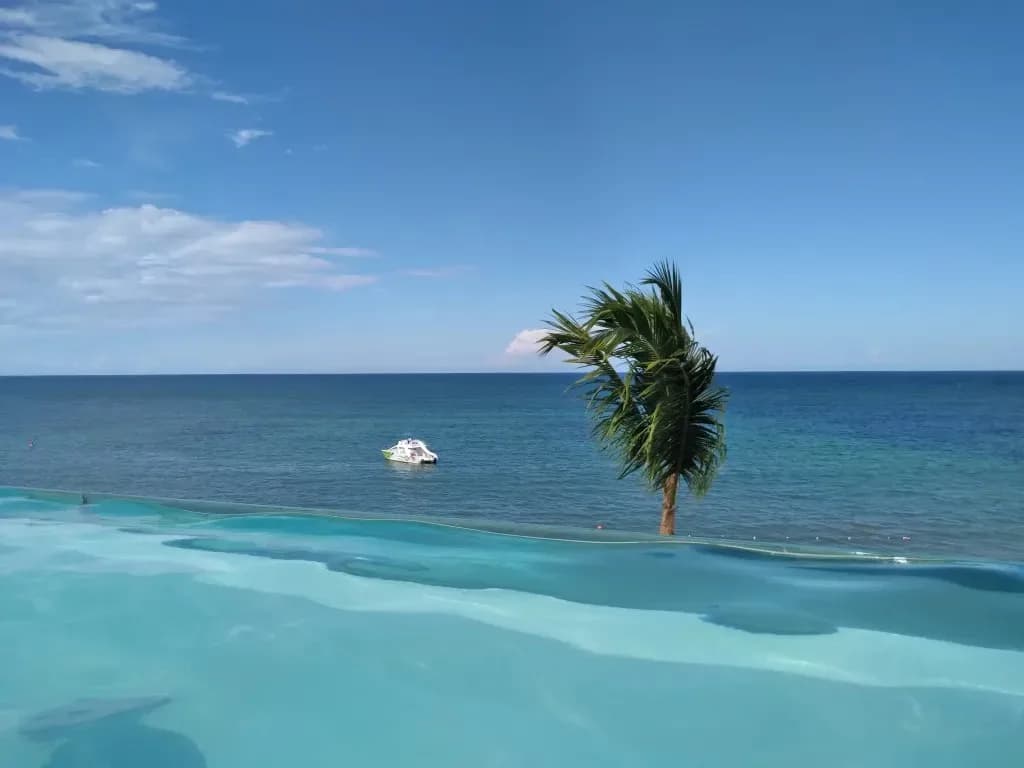 Beachfront view with loungers and palm shade